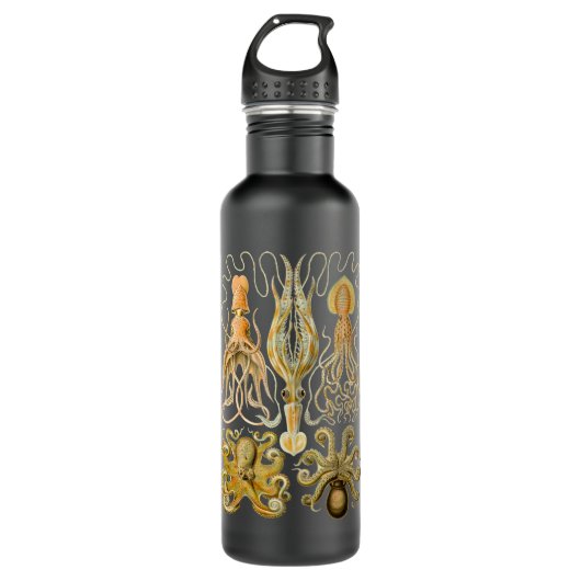 Cephalopoda octopus inktvis mariene Natuur Waterfles (Voorkant)