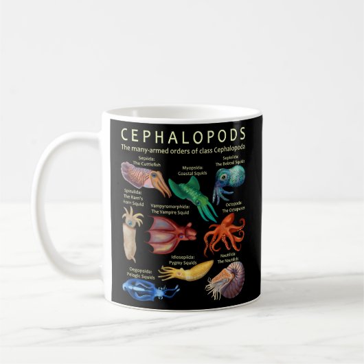 Cephalopoda octopus Squid Cuttlefish and Nautil Koffiemok (Links)
