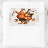 Cephalopoda of the Hawaiian Islands Sticker (Tas)