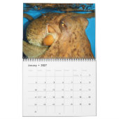 Cephalopoden zijn 'Cool Calendar' Kalender (Jan 2027)