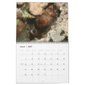 Cephalopoden zijn 'Cool Calendar' Kalender (Mar 2027)