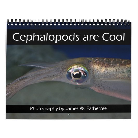 Cephalopoden zijn 'Cool Calendar' Kalender (Hoes)