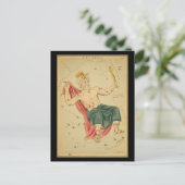 Cepheus Briefkaart (Staand voorkant)