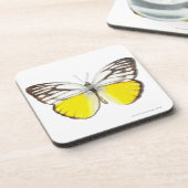 Cepora aspasia onderzetter (Linkerzijde)