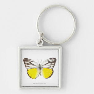 Cepora aspasia sleutelhanger