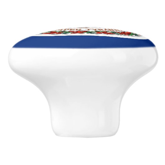 Ceramic knob pull. met vlag van Virginia State, Ve Keramische Knop (Zijkant)
