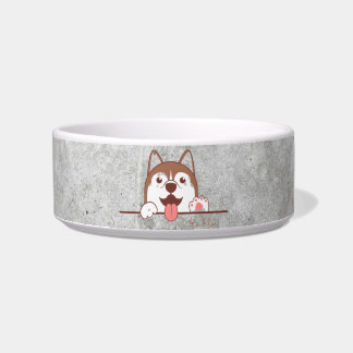 Ceramic pet bowl voerbakje