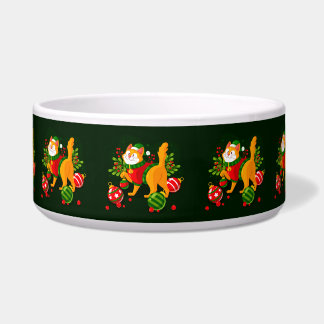 Ceramic Pet Bowl Voerbakje