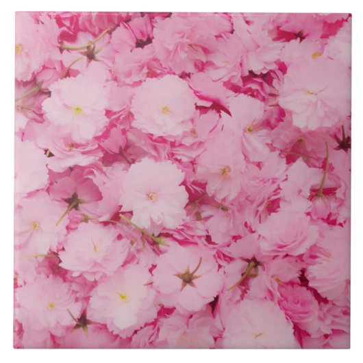 Ceramic Tile Pink Cherry Blossom Floral Botanical Tegeltje (Voorkant)
