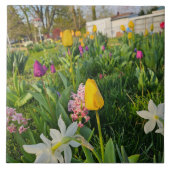 Ceramic Tile Tegeltje (Voorkant)