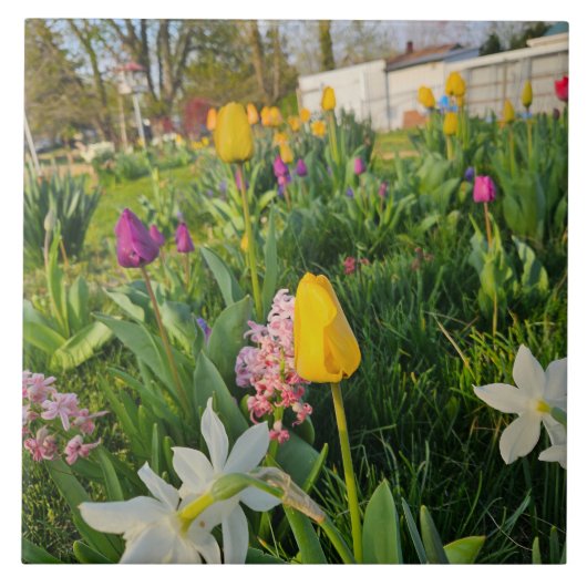 Ceramic Tile Tegeltje (Voorkant)