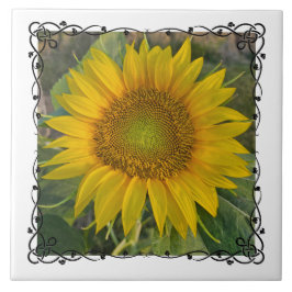 Ceramic Tile Tegeltje