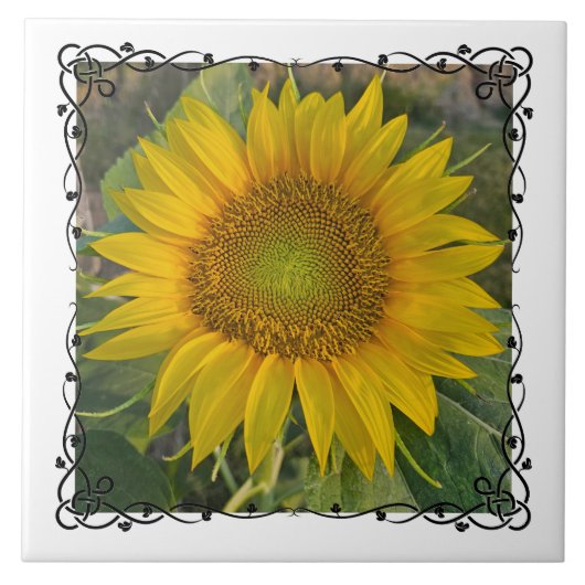 Ceramic Tile Tegeltje (Voorkant)