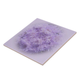 Ceramiektegel - Ageratum Tegeltje