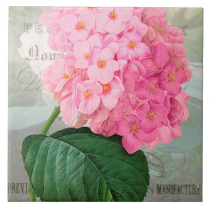 Ceramiektegel van de Hydrangea hortensia van Tegeltje