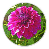 CERAMISCHE KNOB MET PINK DAHLIA KERAMISCHE KNOP (Voorkant)