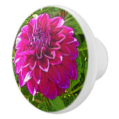 CERAMISCHE KNOB MET PINK DAHLIA KERAMISCHE KNOP (Rechts)