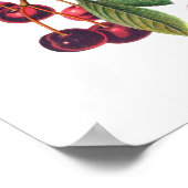 Cerasus vulgaris (Cherry) Poster (Hoek)