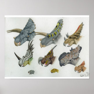 Ceratopesische koppen afdrukken poster