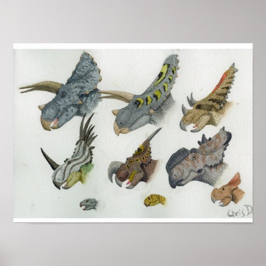 Ceratopesische koppen afdrukken poster (Voorkant)