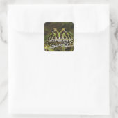 Ceratophrys carwelli vierkante sticker (Tas)