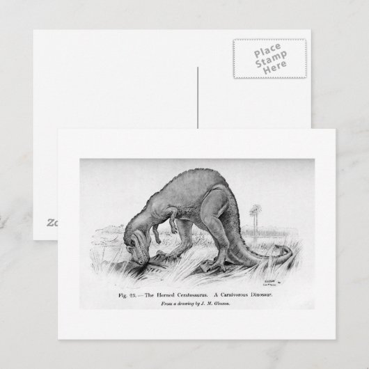 Ceratosaurus art briefkaart (Voorkant / Achterkant)