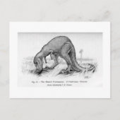 Ceratosaurus art briefkaart (Voorkant)