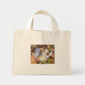 Ceraunus Blue Butterfly Blue Stripe Canvas tas