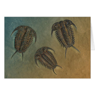 Ceraurus en Leviceraurus