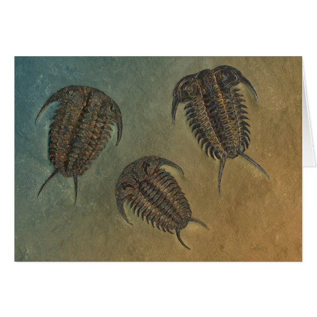 Ceraurus en Leviceraurus (Voorkant Horizontaal)