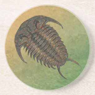 Ceraurus Fossil Trilobite Onderzetter