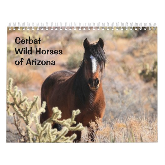 Cerbat Wild Horses Calendar Kalender (Hoes)