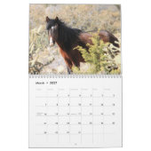Cerbat Wild Horses Calendar Kalender (Mar 2027)