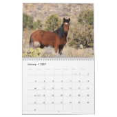 Cerbat Wild Horses Calendar Kalender (Jan 2027)