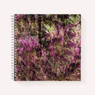 Cercis bomen...... notitieboek