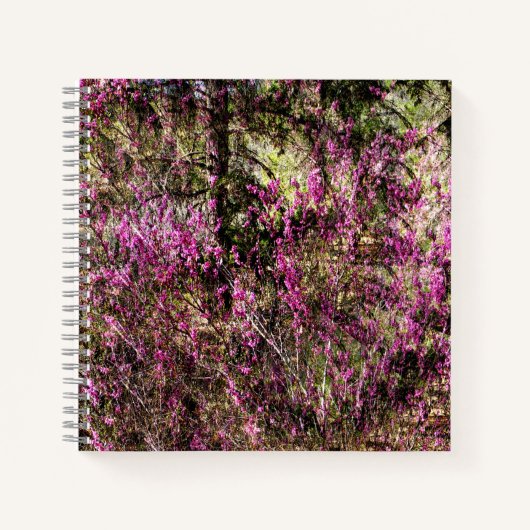 Cercis bomen...... notitieboek (Voorkant)