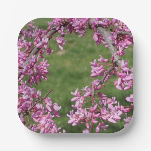 Cercis Papieren Bordje (Voorkant)