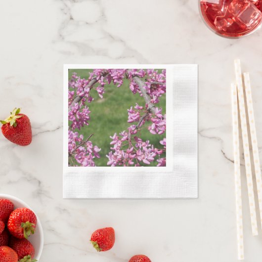 Cercis Servet (Insitu)