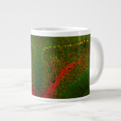 Cerebellum in de scanning-microscopie met confocul grote koffiekop (Voorkant rechts)