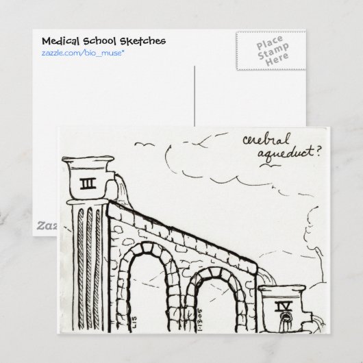 Cerebral Aquadult briefkaart (Voorkant / Achterkant)