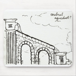 Cerebral Aqueduct mousepad Muismat
