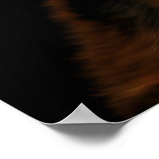 Ceremoniële luchtdrager in krijger kleding poster (Hoek)