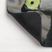 Cereopsis novaehollandiae of Cape Barren Goose Muismat (Hoek)