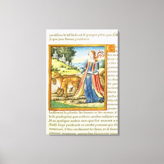 Ceres Canvas Afdruk (Voorkant)