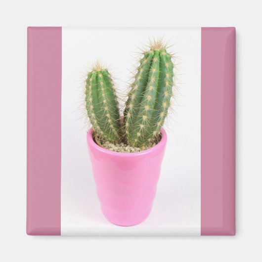 Cereus cactus in een roze pot magneet (Voorkant)