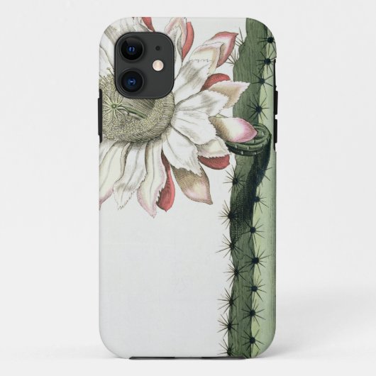 Cereus Erectus Altissimus Syrinamensis uit 'Phyth' Case-Mate iPhone Case (Achterkant)