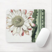 Cereus Erectus Altissimus Syrinamensis uit 'Phyth' Muismat (Met muis)