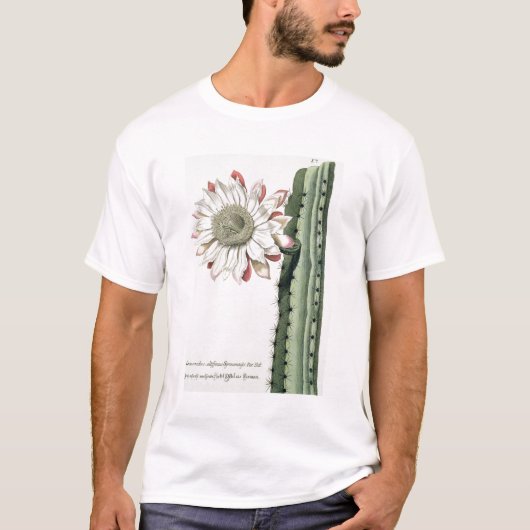 Cereus Erectus Altissimus Syrinamensis uit 'Phyth' T-shirt (Voorkant)