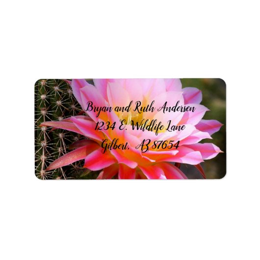 Cereus in Pink Cactus Bloom Etiket (Voorkant)