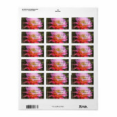 Cereus in Pink Cactus Bloom Etiket (Full Sheet)